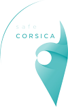 logo safe